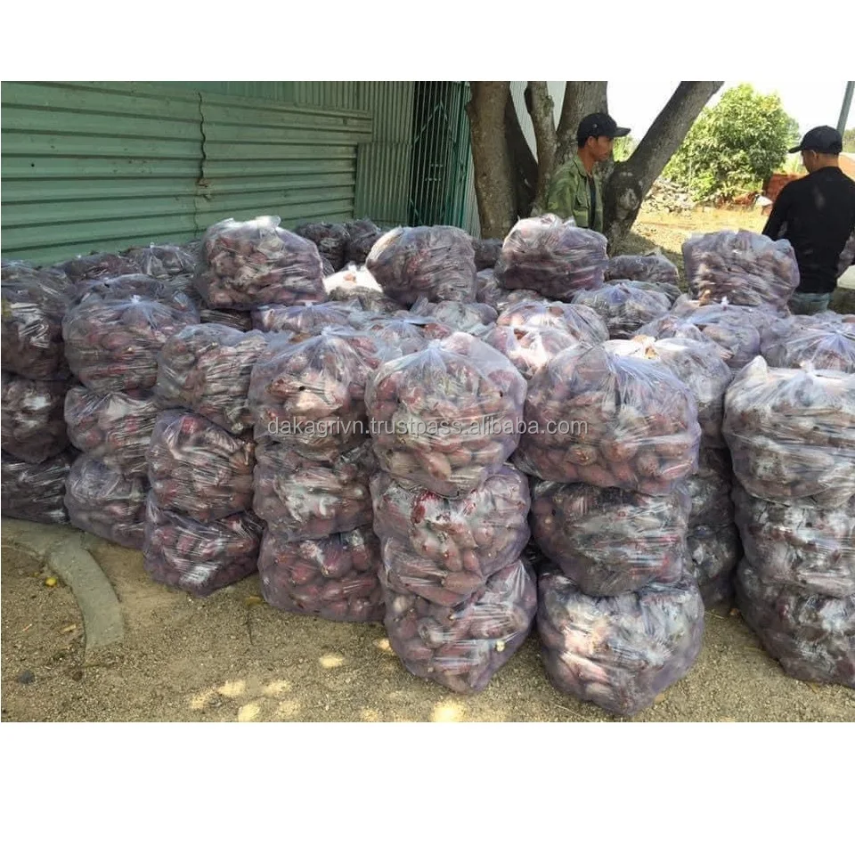 Agriculture Vietnam New Fresh Fruit GMO Cultivation Type High Quality 15sm Size Japanese Sweet Potato For Cooking
