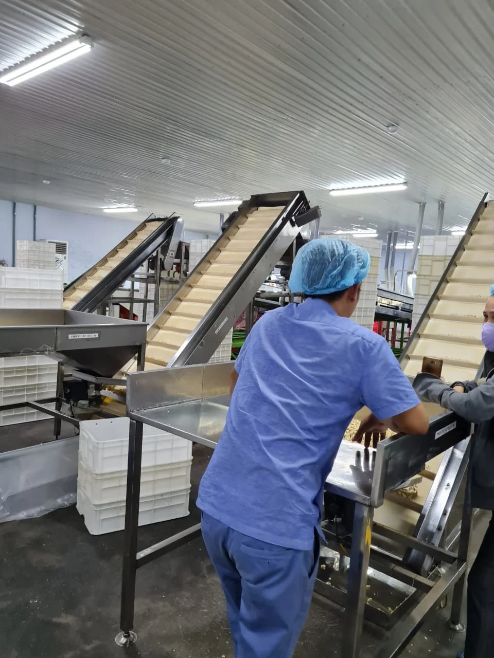 THE BEST CASHEW NUT SHELLING MADE IN VIETNAM