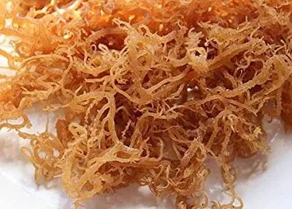 Морской мох полностью натуральный морской сырой золотой ирландский органические сушеные морские