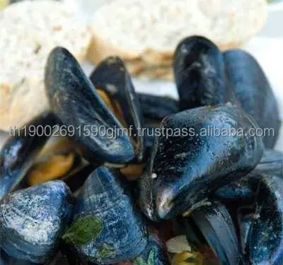 mussels-shell-400x375.jpg