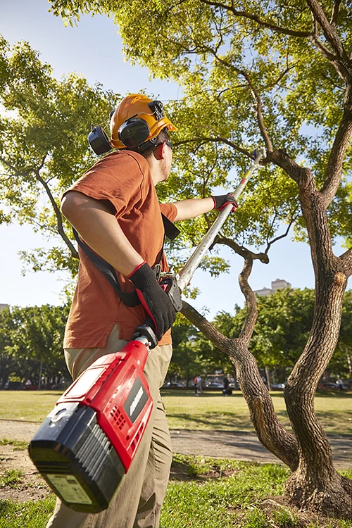 MORI professional 4.2M strong power pole chain saw