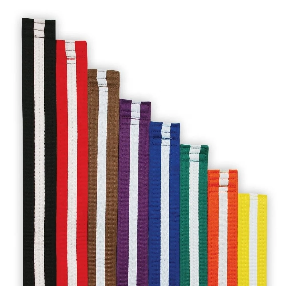 New Martial Arts Taekwondo Karate Belt High Quality MMA Belts with Custom Colors