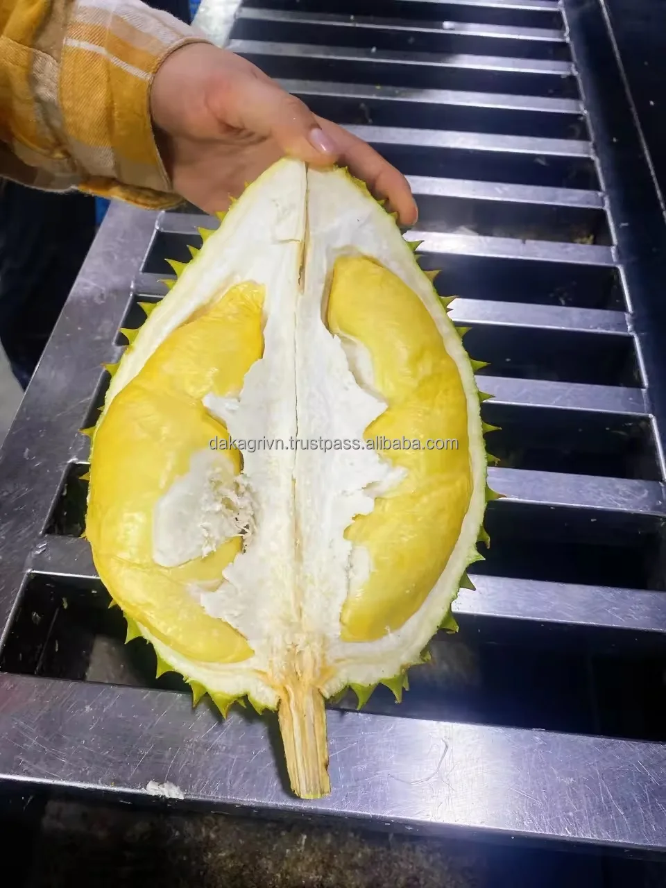 Organic High Quality King Durian Vietnam Agriculture Export Wholesale Fresh Durian With 20 days Shelf Life