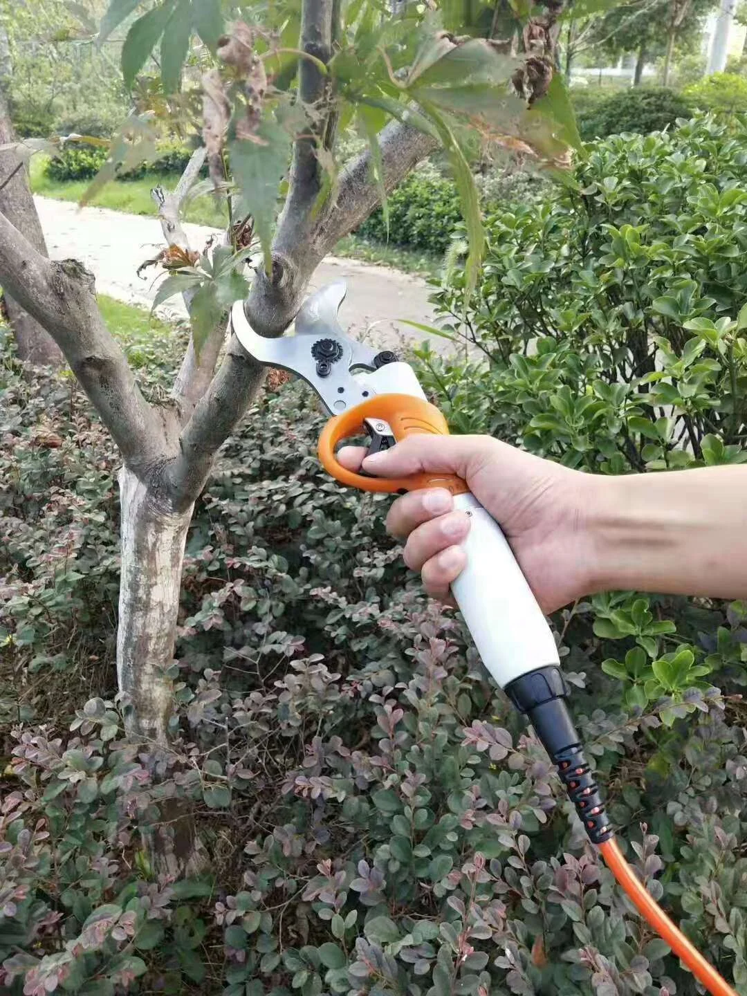 
45 mm Rechargeable Electric Garden Pruner Cutter Shears Fruit Tree Scissors 