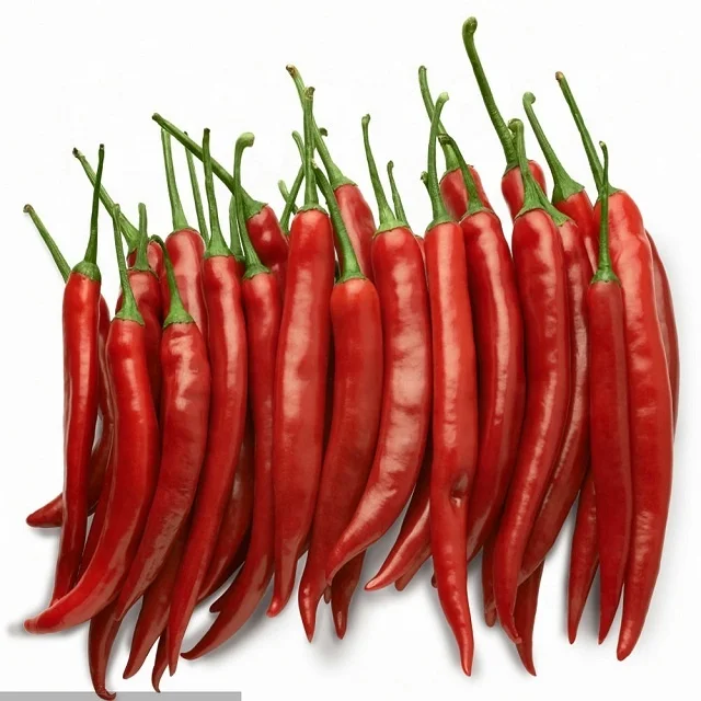 High Quality Cheap Exquisite S4 Red Chilli