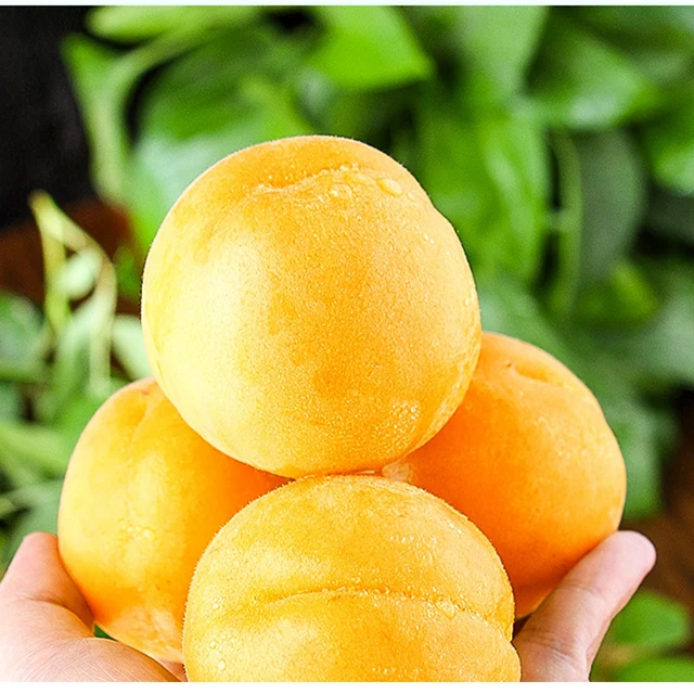 Wholesale Line Price Best Brands Fruit Slices Canned Halves Yellow Peach Preserved Fruit with 3 Years Shelf Life