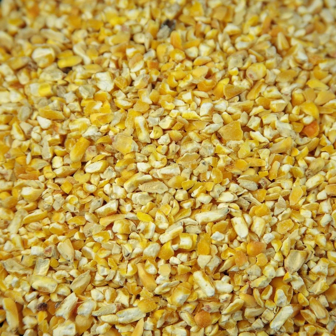 Hot Selling Yellow Maize Wholesale Price Animal Feed Corn Yellow Maize