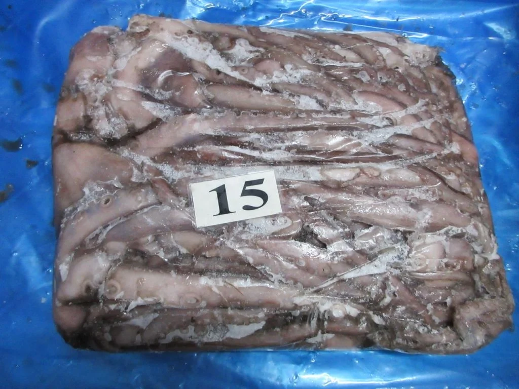 FROZEN OCTOPUS WHOLE FROM INDIA