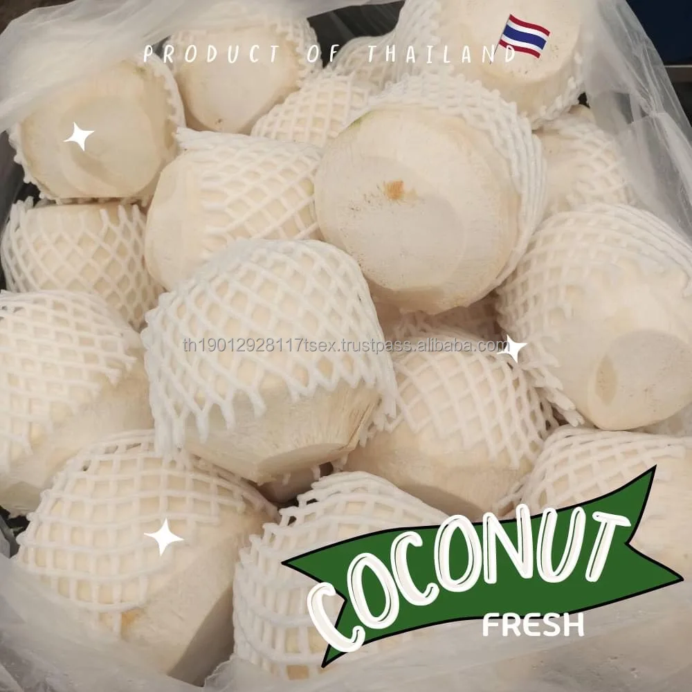 fresh Coconut fresh young coconut thailand coconut bowl