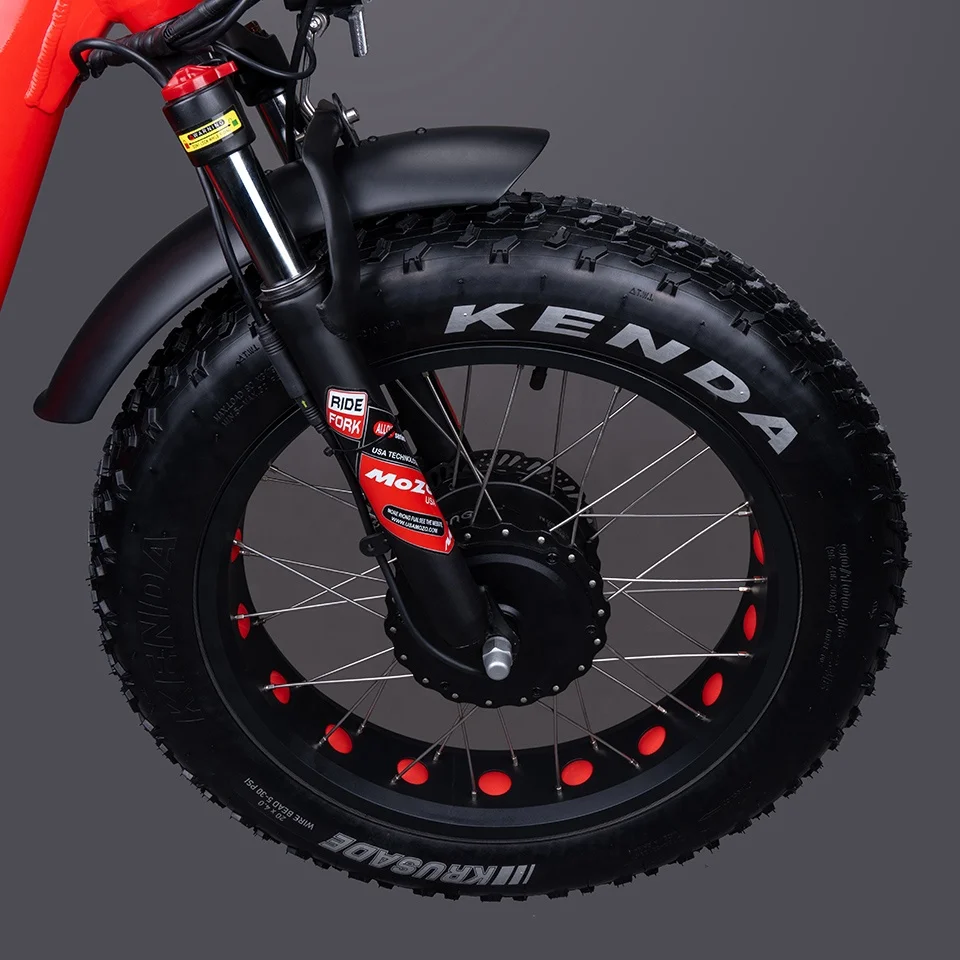 48V350W 500W electric 3 wheeler bike 20*4 Electric Bike cargo e-tricycle  ebike 3 wheeler tricicle electric cargo ebike