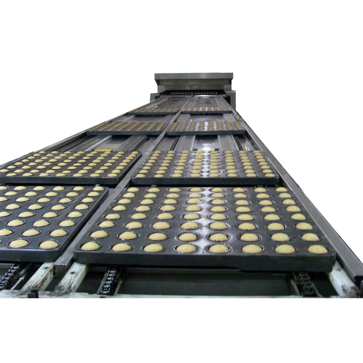 custard Cake Production Line with baking oven // sponge cake making line with good material