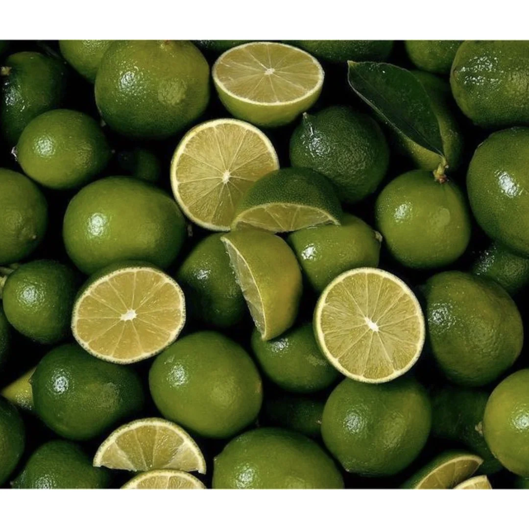 New Product Wholesales 2023 Viet Nam Lemon Seedless Lime Fresh Lemon Green Lemon Ready To Ship
