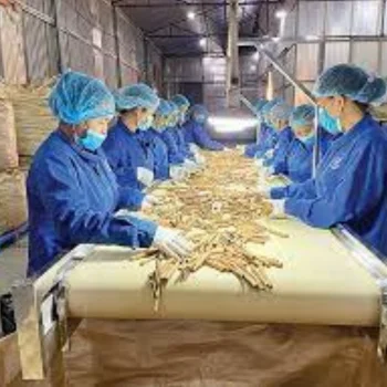 High quality of Vietnam Split cassia best price Large Spices Cinnamon Supplier Wholesales cinnamon