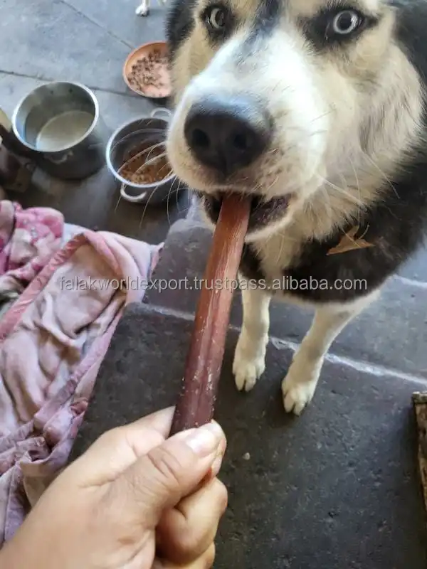 100% healthy dog chew best quality and soft chew bully stick For dog treat chew food From Falak World Export