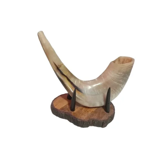 100% Natural Sheep Ram Horn Polished Shofar