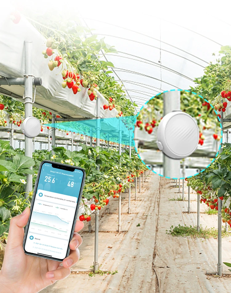 Digital Wifi Household  temperature and humidity meter Data Storage Temperature and Humidity Recorder Thermometers