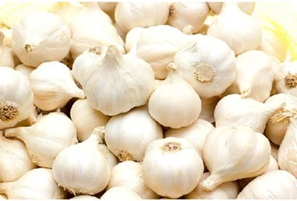 Vietnam Garlic 500 gram Black Garlic high quality 50 days fermentation technology from Japan