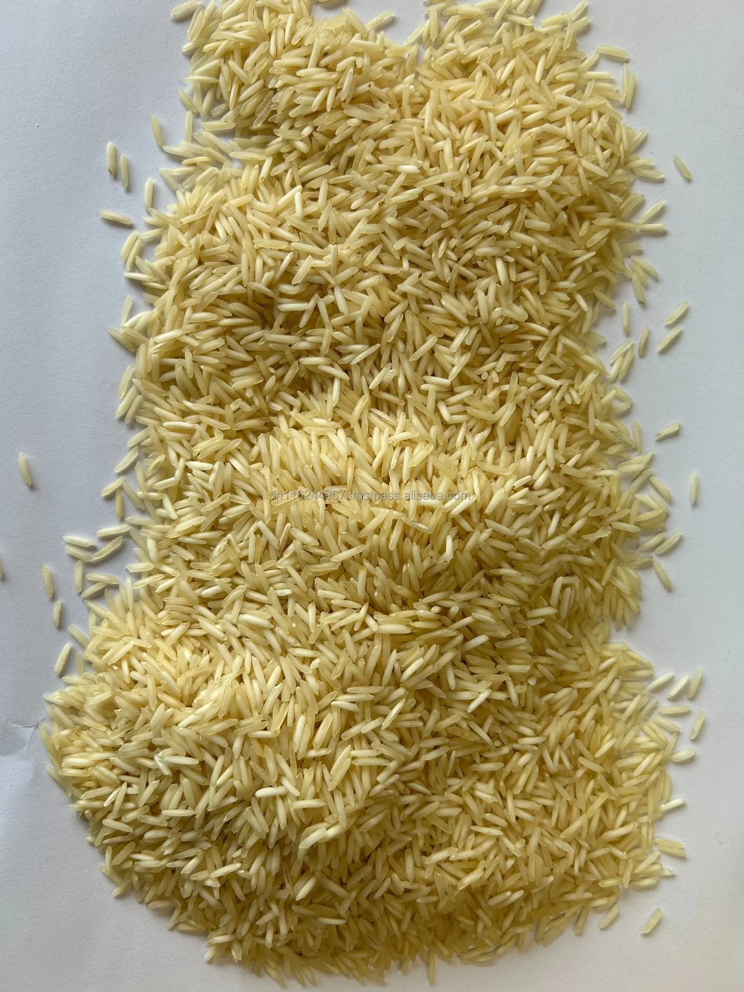 Medium Grain Indian Exporter Sharbati Golden Sella Rice 2023 for Cooking use Available at Best Price from India