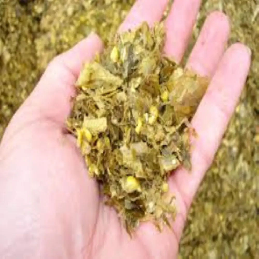 Wholesale Corn Silage Disease-Free Animal Feed for Cattle