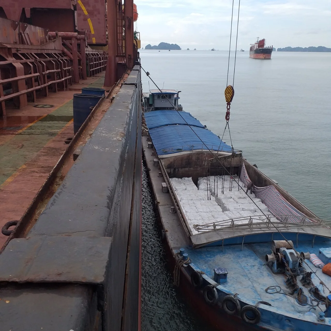 High quality Portland Cement CEM I 52.5N