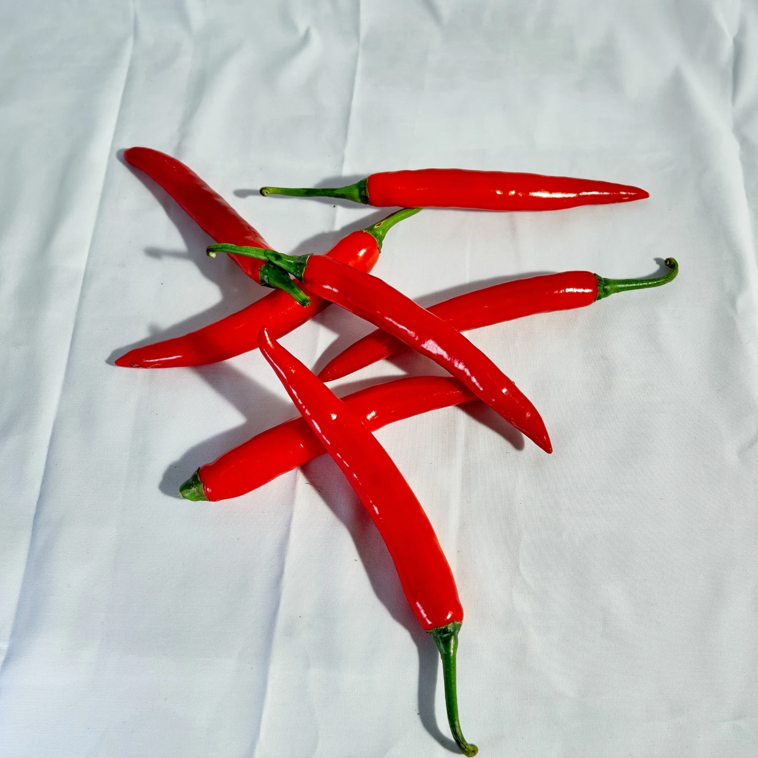 Wholesale From Vietnam Of Cheapest Price Fresh Chili Pepper Fresh Capsicum Natural Seasoning New Crop Chili Pepper High Quality