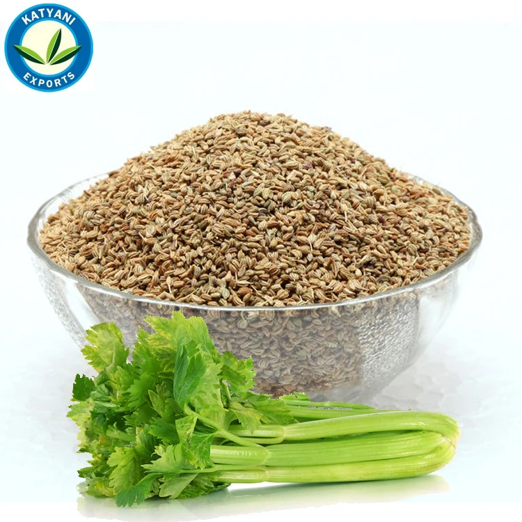 100% Pure and Natural Celery Seed Essential Oil for Flavoring Wholesale Prices and Bulk Manufacturer for Premium Essential Oil