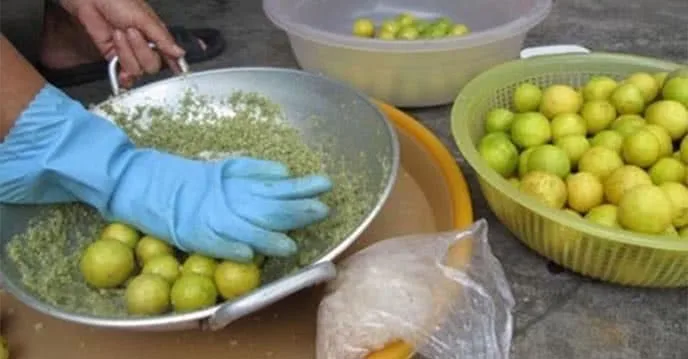 Консервированный лимон в рассоле консервированный лимонад Лайм маринованные цитрусовые лимонный рассол по конкурентоспособной цене