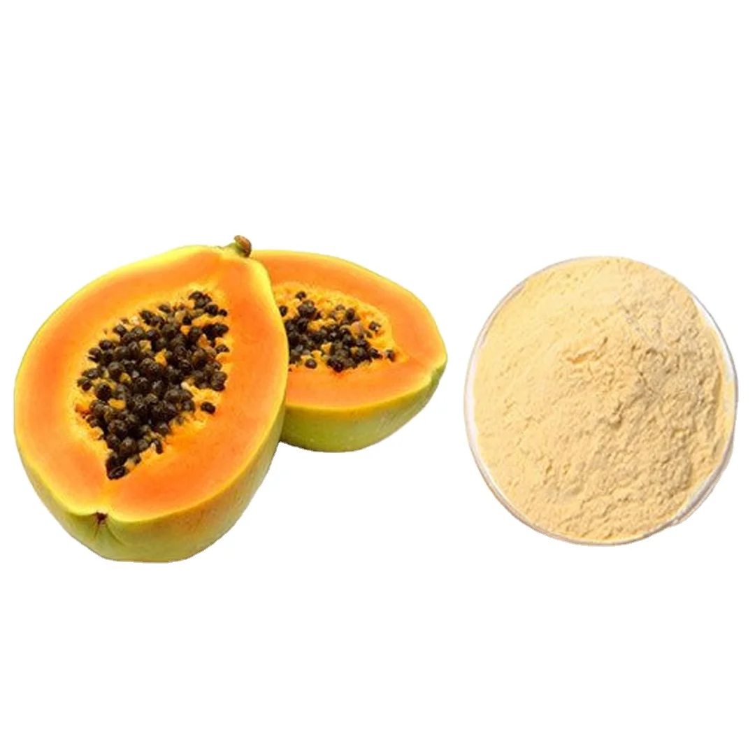 High Quality Wholesale Price Enzyme Organic Customized Papaya Extract Powder at Best Competitive Price