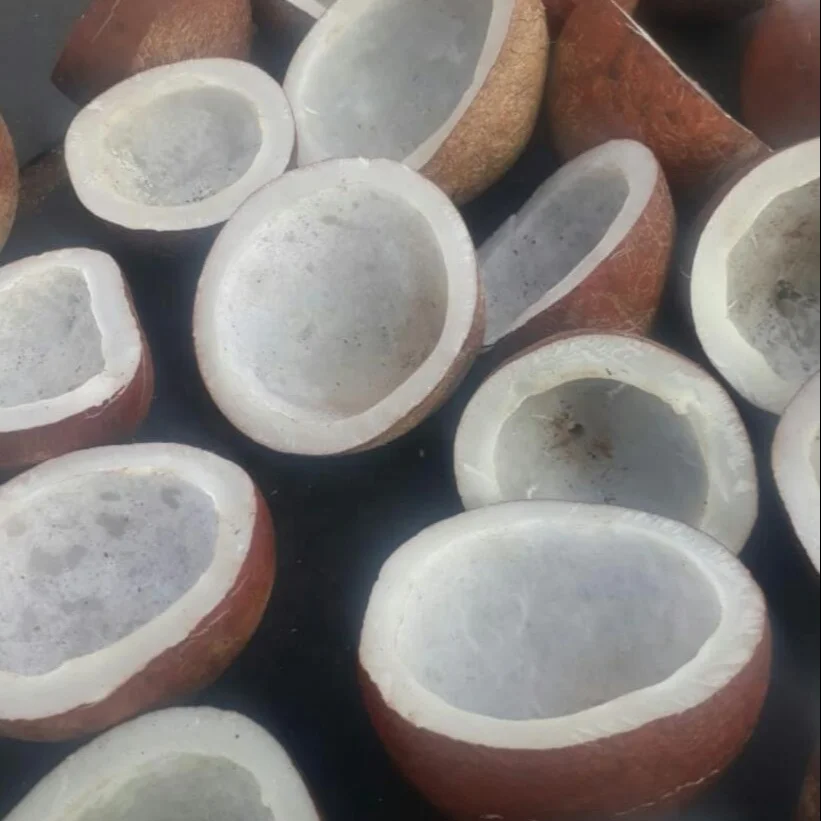 High Demand Top Quality Wholesale Dried dry Coconut Copra for Bulk Purchase