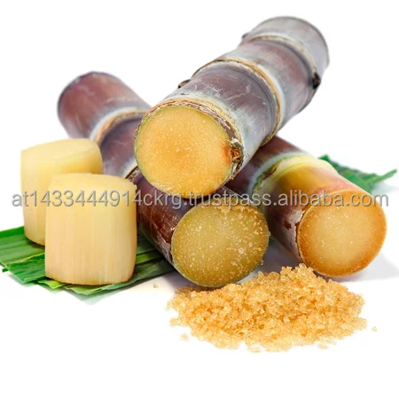 Sugar_Cane.jpg