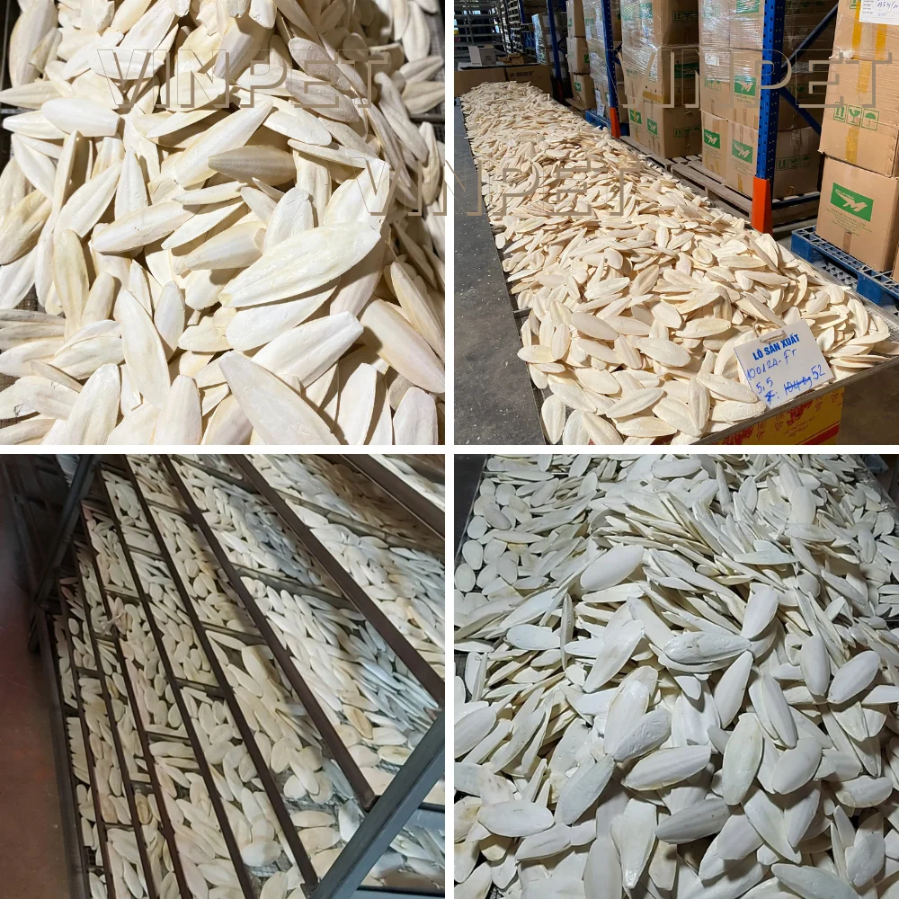 Professional OEM manufacturer Premium Quality Cuttlebone for Birds Cuttlefish Bone for Pet Food Pet Toys Animal Feed Products