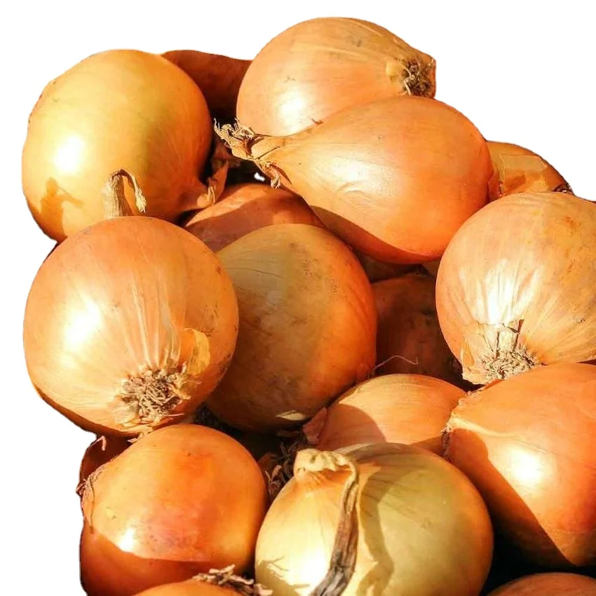 Покупатели золотого лука и из