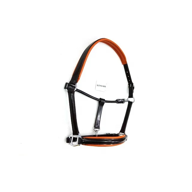 Leather Halter with name plate