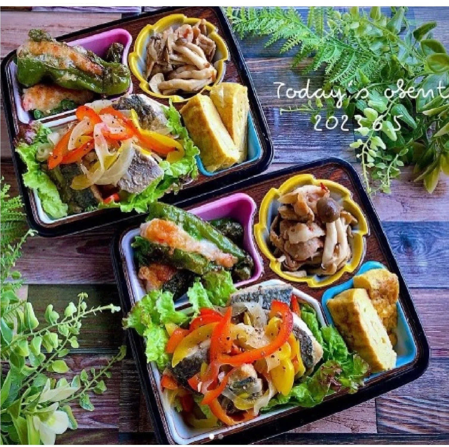 Wholesale disposable bento plate japanese color 4 compartment healthy lunch box ppf microwavable supermarket