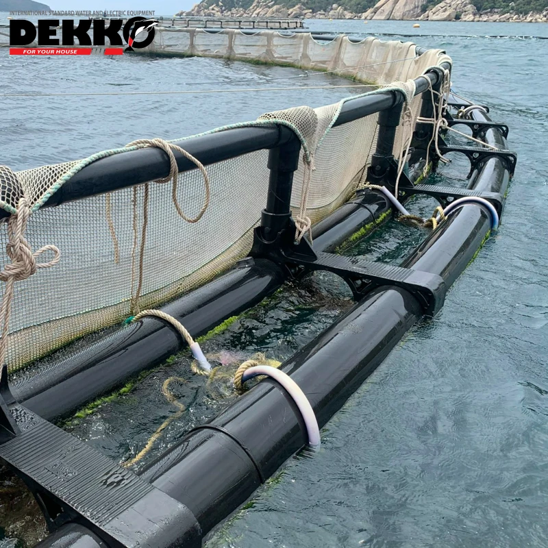 DEKKO Cheap price Tilapia hdpe floating aquaculture cage fish farming cage Double tube square fish cage for Tilapia Fish Farming