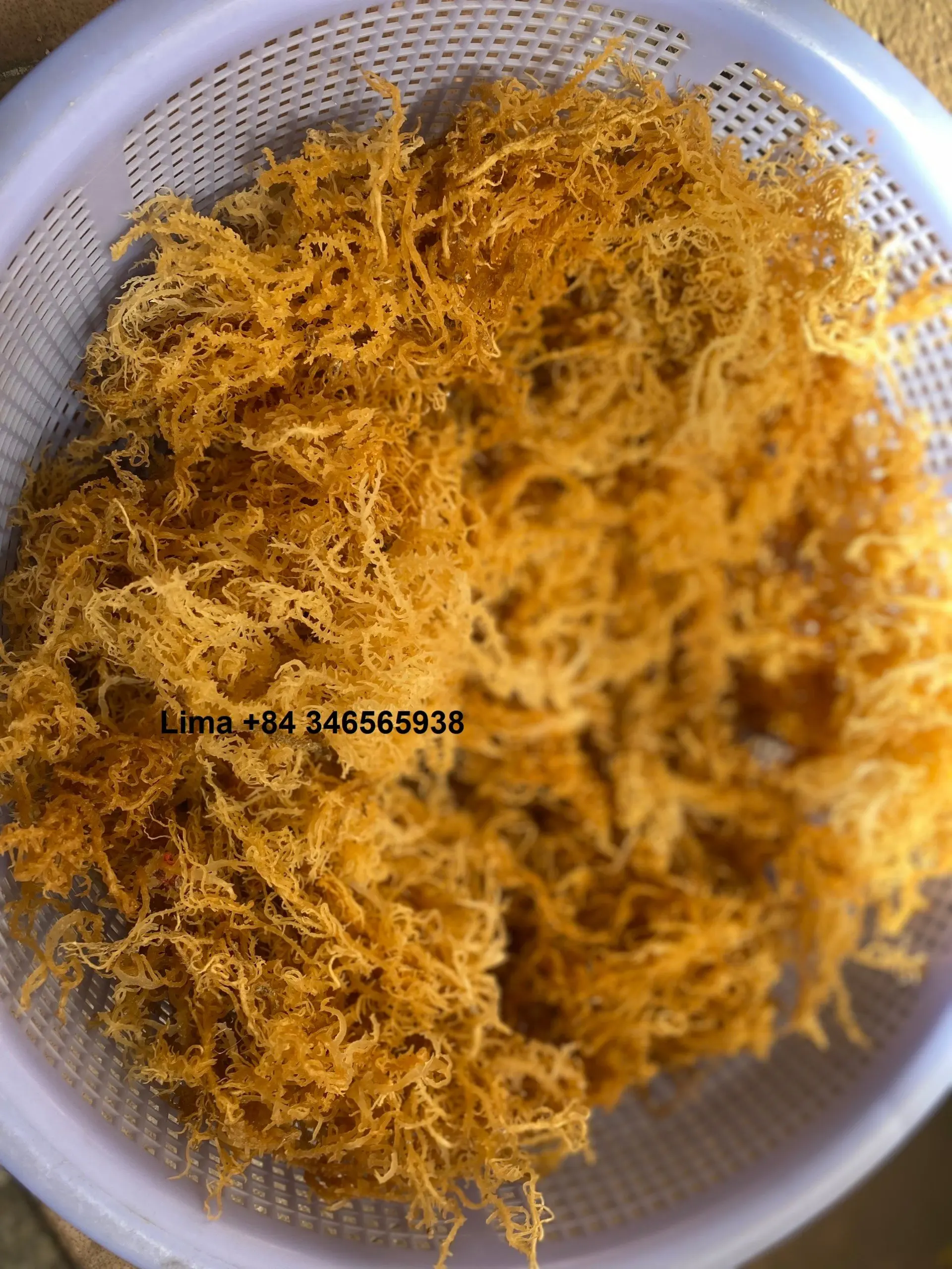 Сушеные водоросли Eucheuma Cottonii из Вьетнама/Высококачественный ирландский морской Мох/мс. Лима + 84 346565938