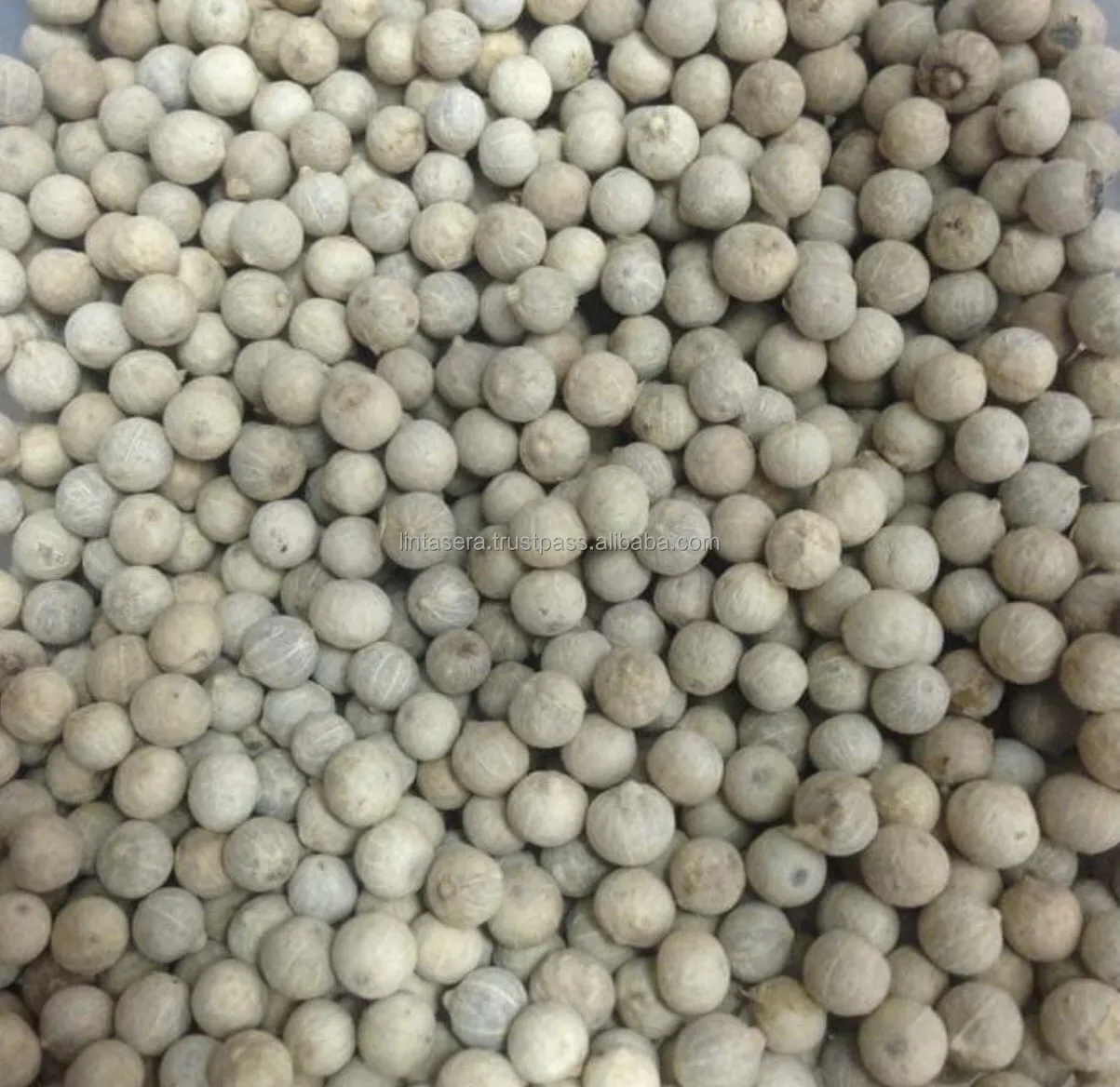 Best  Selling High  Quality  Whole  550 and 570 GL MC Cleaned White Pepper