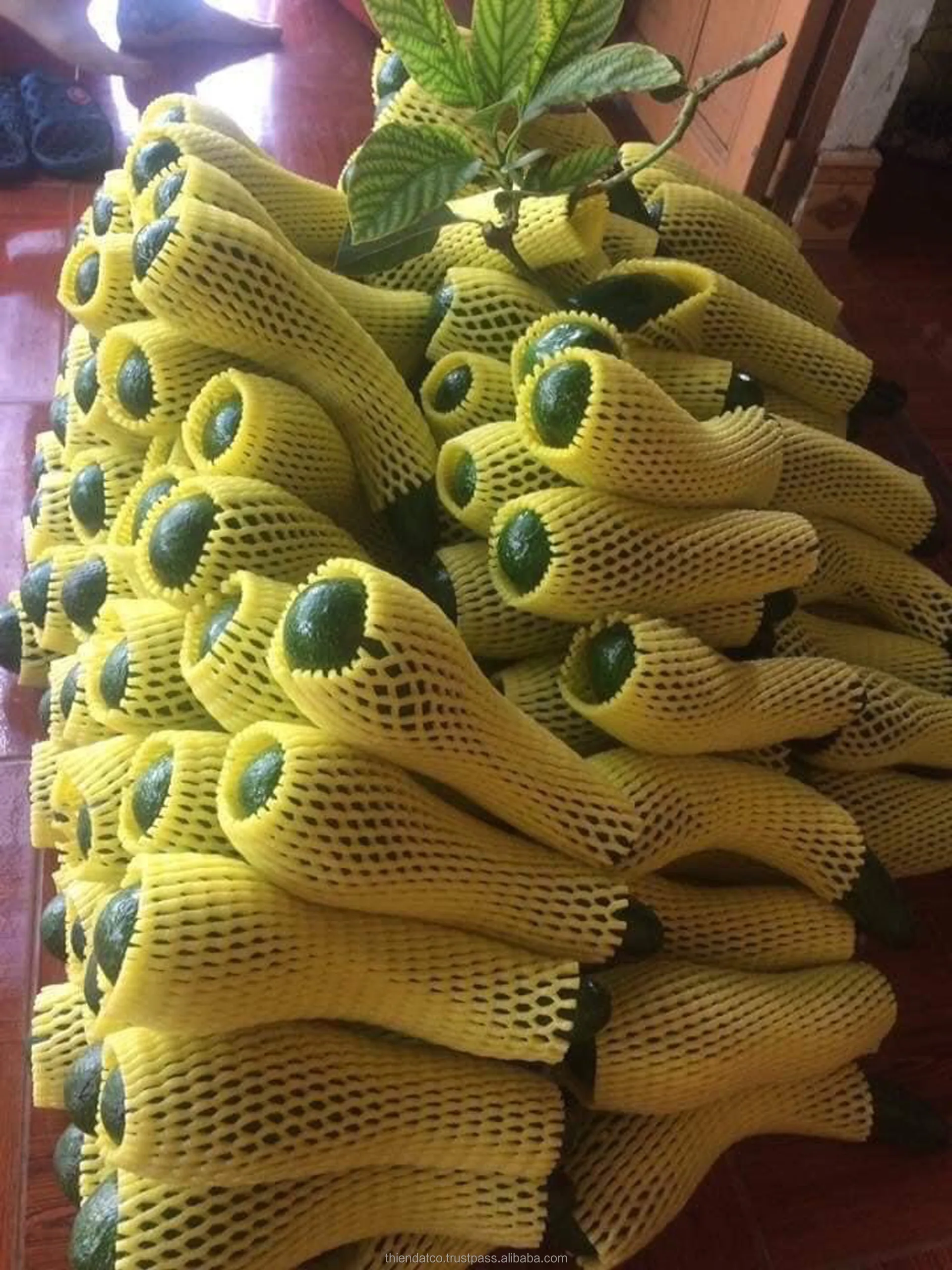 
EXPORTING FRESH 034 VARIETY FROM VIETNAM 