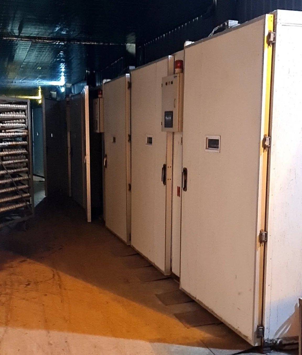 Industrial Egg Incubator Large Capacity  from Vietnam Manufacturer Top Sale Incubator 500 Eggs Hatching Machine