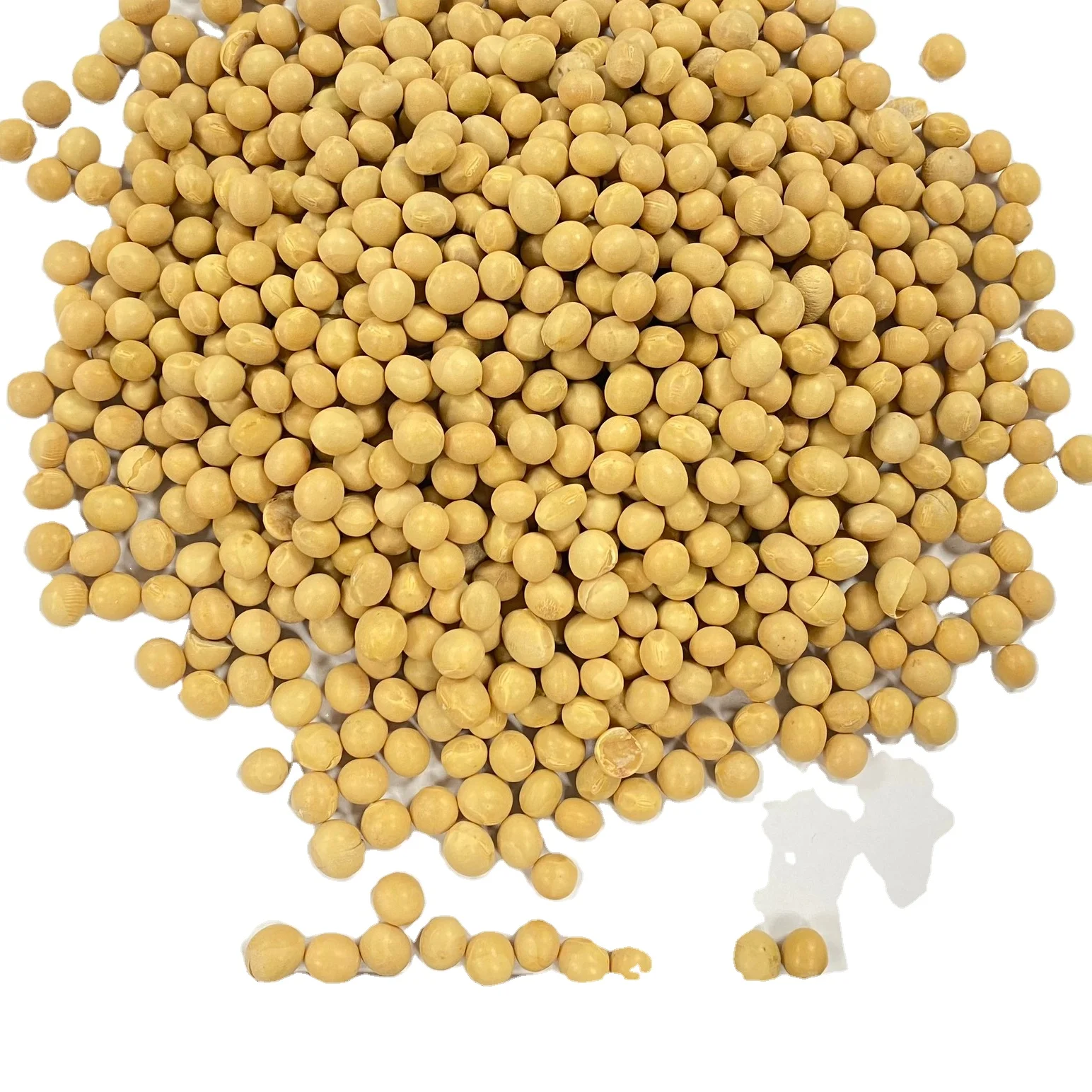 Best Price Soybean For Human Consumption With Certified Quality From Canada Origin