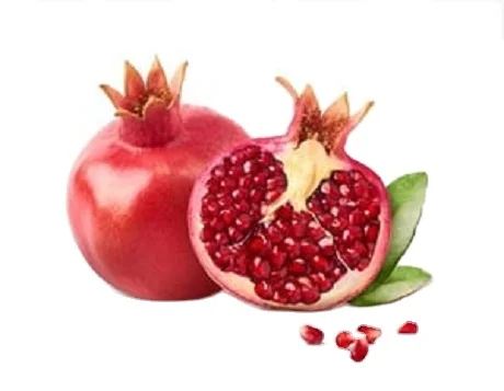 Top Quality Fresh Pomegranate big size sweet and sour in bulk Quantity from Indian Supplier