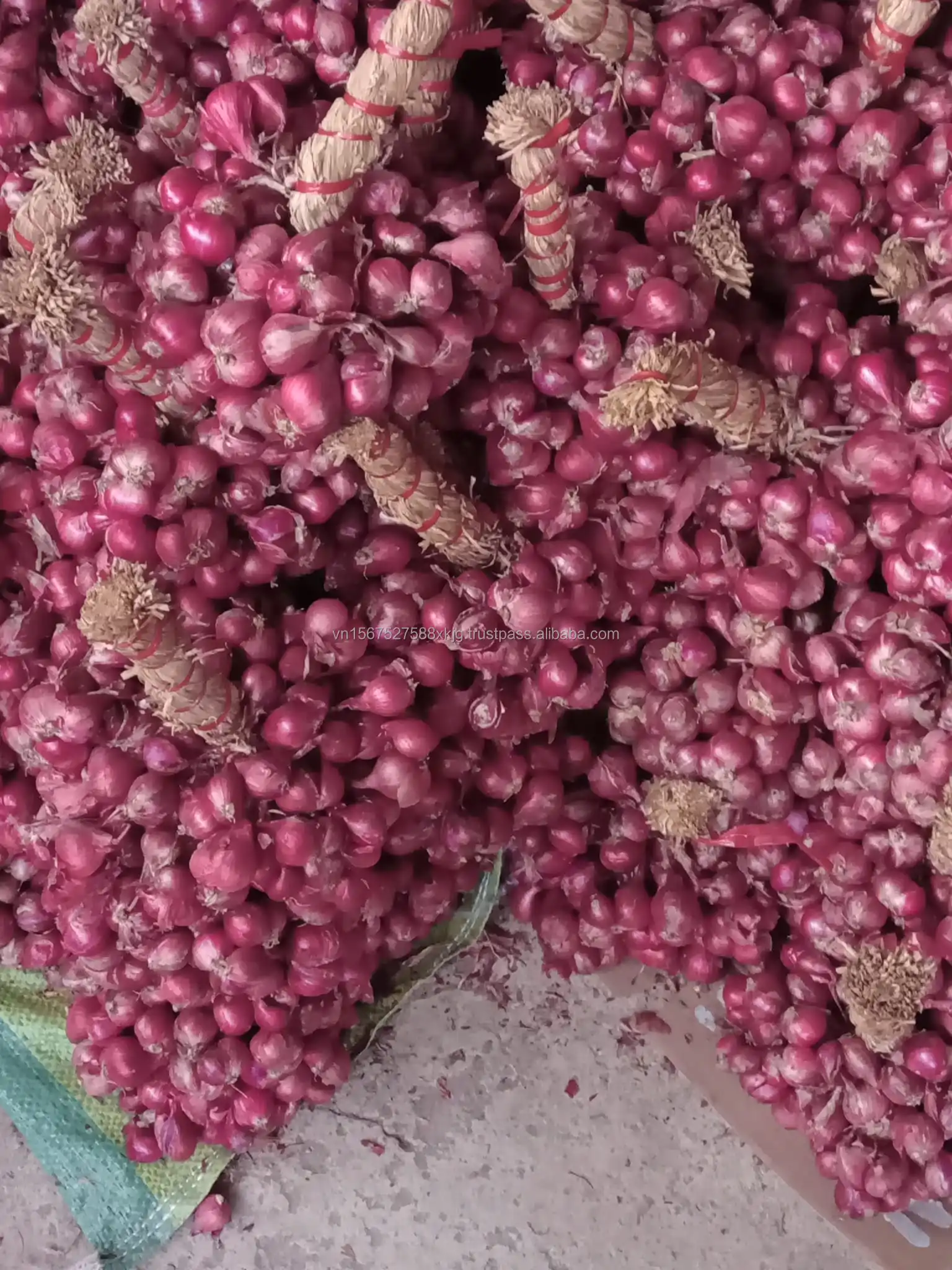 Vietnamese Export Quality Red Fresh Onions High-Grade Product in round Pattern Peeled Onions