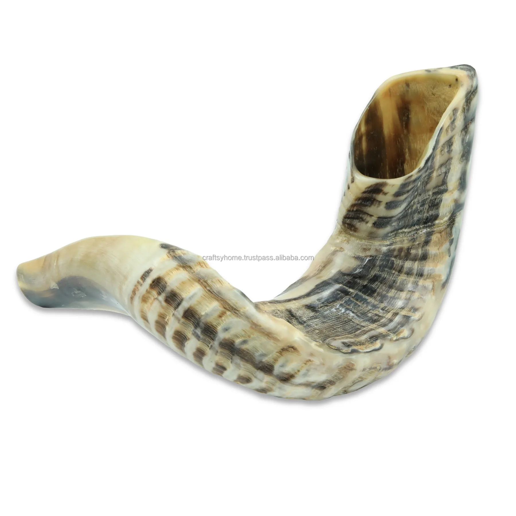 Натуральный Рог Shofar ручной работы для выдувания и религиозного назначения Кошерный полированный сделано в Израиле рог Kudu