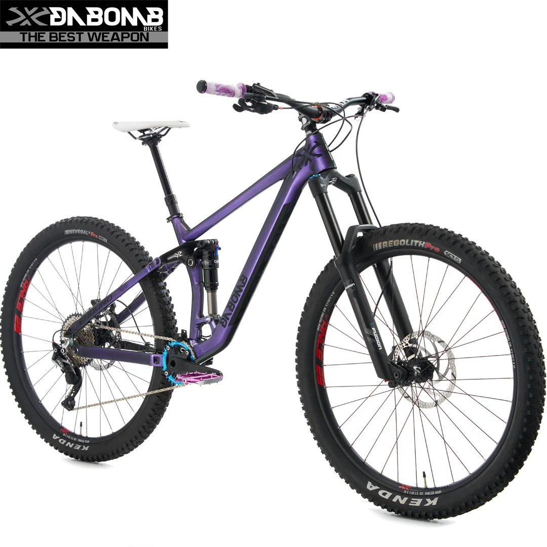 DABOMB OEM 29er Enduro Hardtail Aluminum MTB Mountain Bike Frame