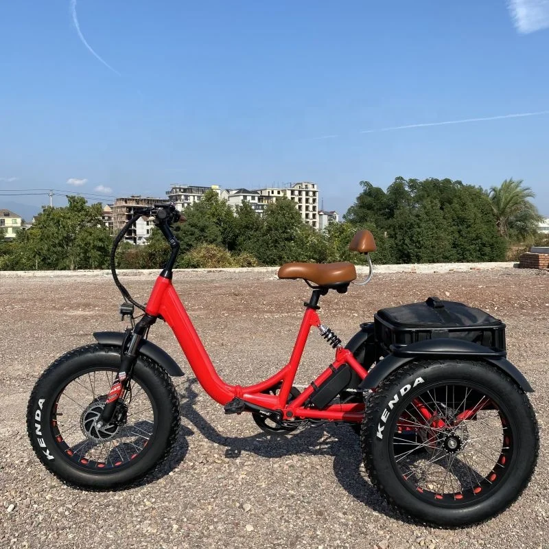 48V350W 500W electric 3 wheeler bike 20*4 Electric Bike cargo e-tricycle  ebike 3 wheeler tricicle electric cargo ebike