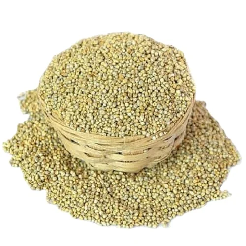 Green millet for animal feed  available from India for export