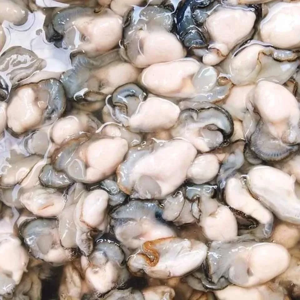 Замороженные тихоокеанские устричные кишечники свежие морепродукты высокий стандарт