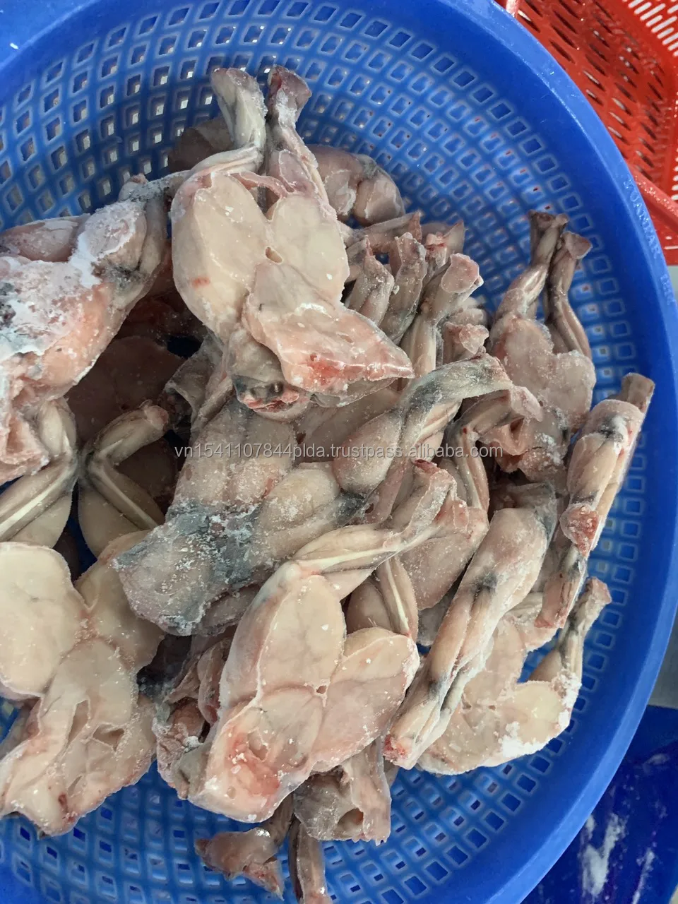 Замороженная пища для ног лягушки, без химикатов, хороший поставщик