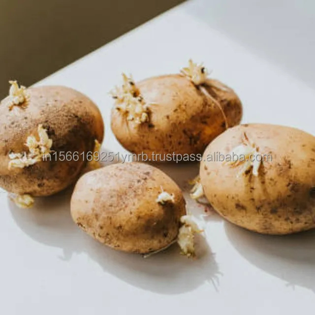 Best Fresh potato price per ton For Wholesale Buy High quality 100% Organic