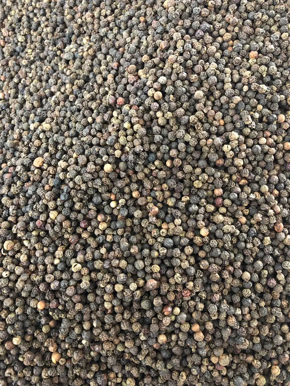 Premium quality Single Spices Vietnam pinhead black pepper origin from Vietnam reasonable price
